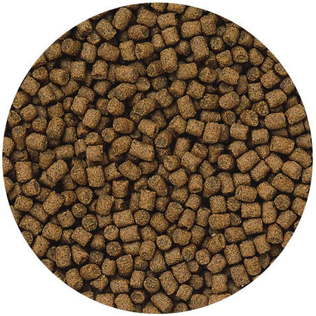 2 oz Hikari Cichlid Bio Gold+ Floating Mini Pellet Food