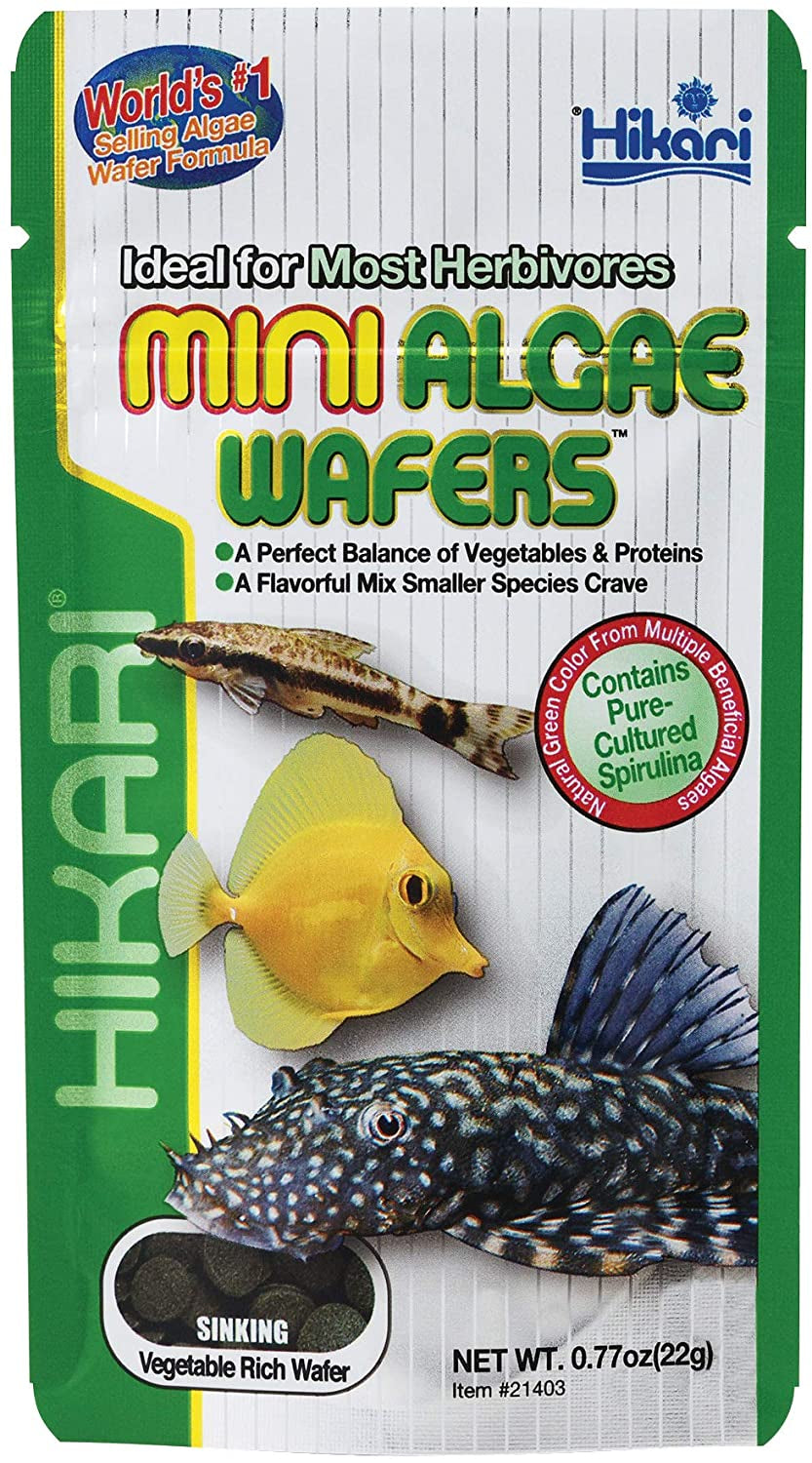 Hikari Mini Algae Wafers Sinking Herbivore Food - PetMountain.com