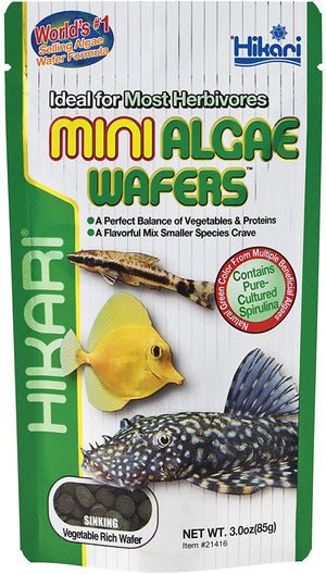 Hikari Mini Algae Wafers Sinking Herbivore Food - PetMountain.com