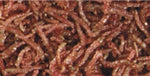 Hikari Bloodworms Freeze Dried Food - PetMountain.com