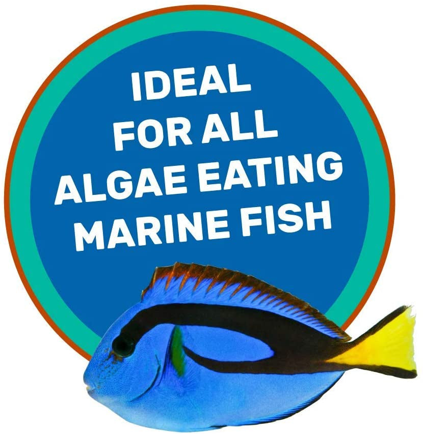Hikari Saki-Hikari Marine Herbivore Sinking Medium Pellet Food - PetMountain.com
