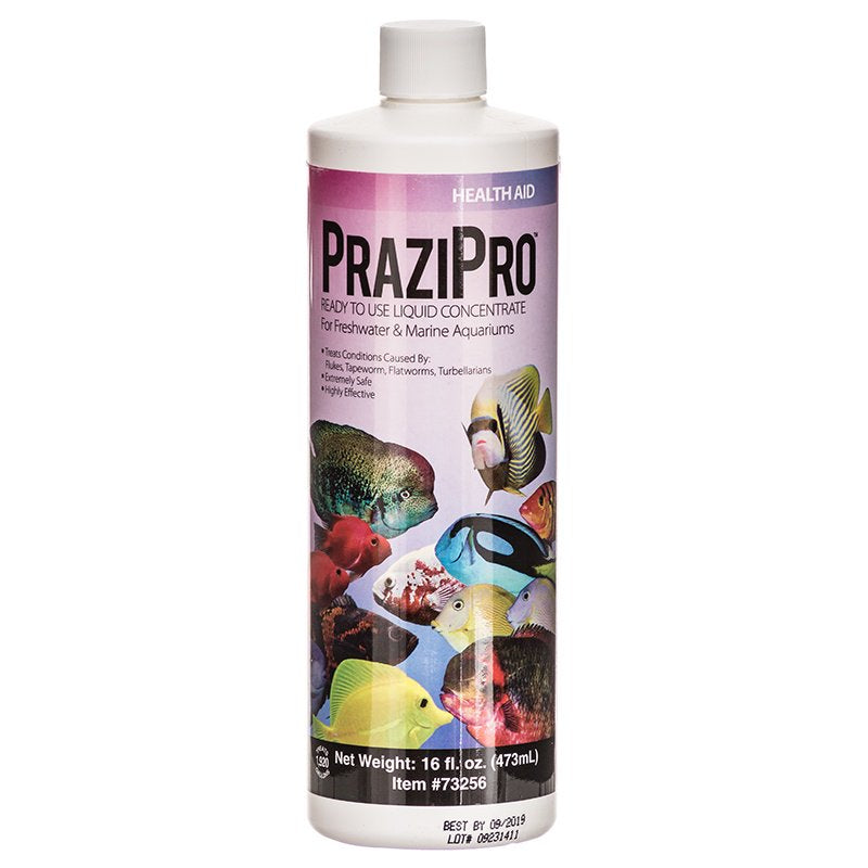 Aquarium Solutions PraziPro Parasite Treatment - PetMountain.com