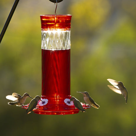 More Birds Diamond Glass Hummingbird Feeder - PetMountain.com