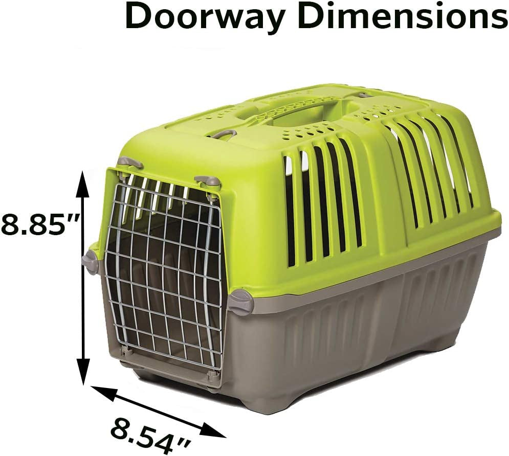 Small - 1 count MidWest Spree Pet Carrier Green Plastic Dog Carrier