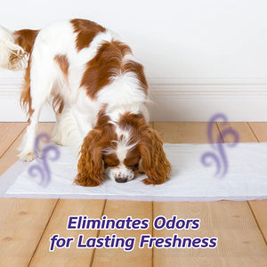150 count (3 x 50 ct) Hartz Home Protection Lavender Scent Odor Eliminating Dog Pads Regular