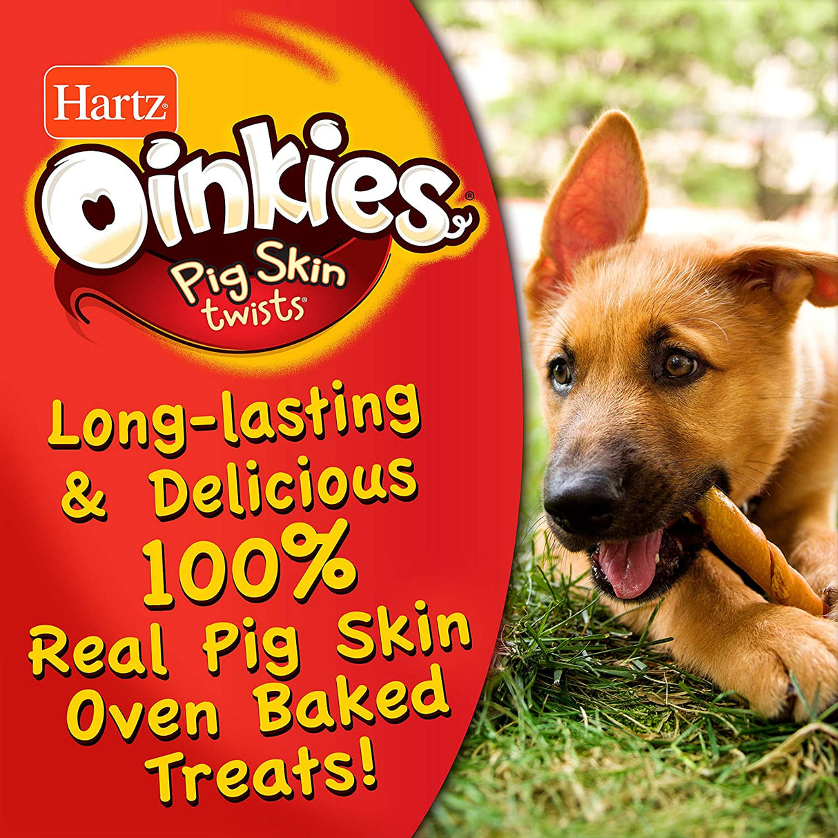 60 count (3 x 20 ct) Hartz Oinkies Pig Skin Regular Twists Smoked Flavor