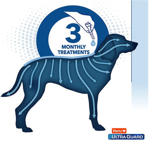 Hartz UltraGuard Dual Action Topical Flea and Tick Prevention for Small Dogs (15 - 30 lbs) - PetMountain.com