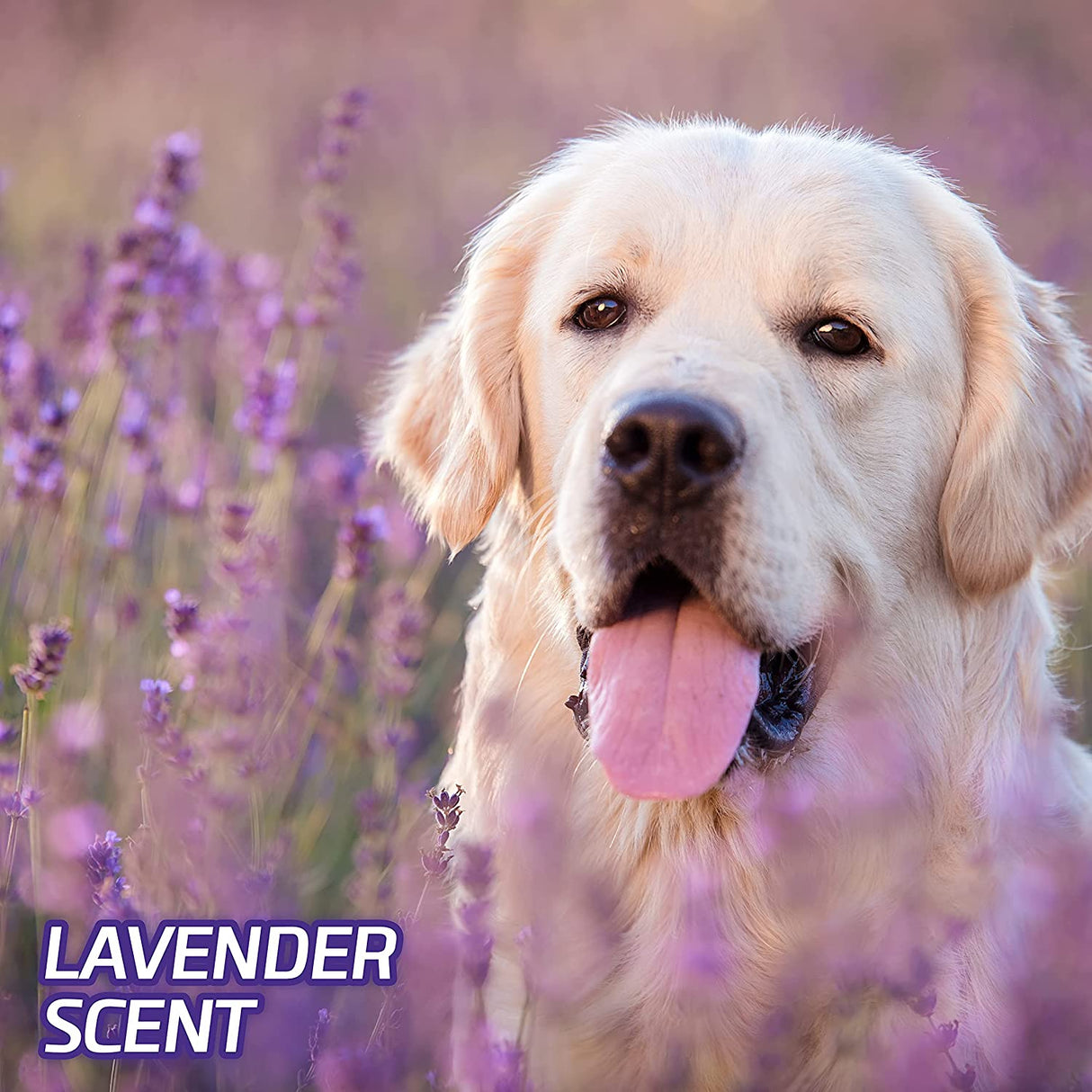 60 count (2 x 30 ct) Hartz Home Protection Lavender Scent Odor Eliminating Dog Pads