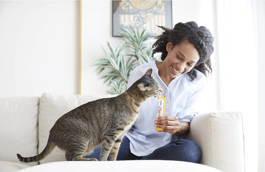 Inaba Churu Tuna Recipe Creamy Cat Treat - PetMountain.com