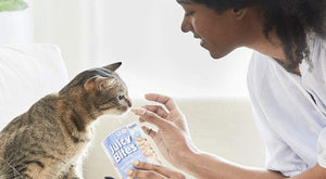 Inaba Juicy Bites Cat Treat Fish and Clam Flavor - PetMountain.com