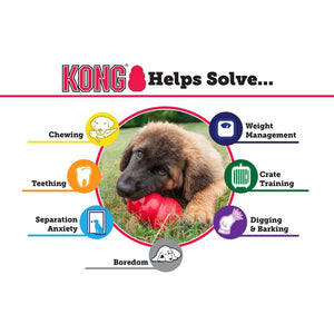 Medium - 1 count KONG Puppy Teething Chew Toy