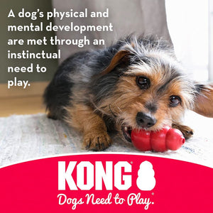 KONG Dental With Floss Rope Chew Toy Small - PetMountain.com