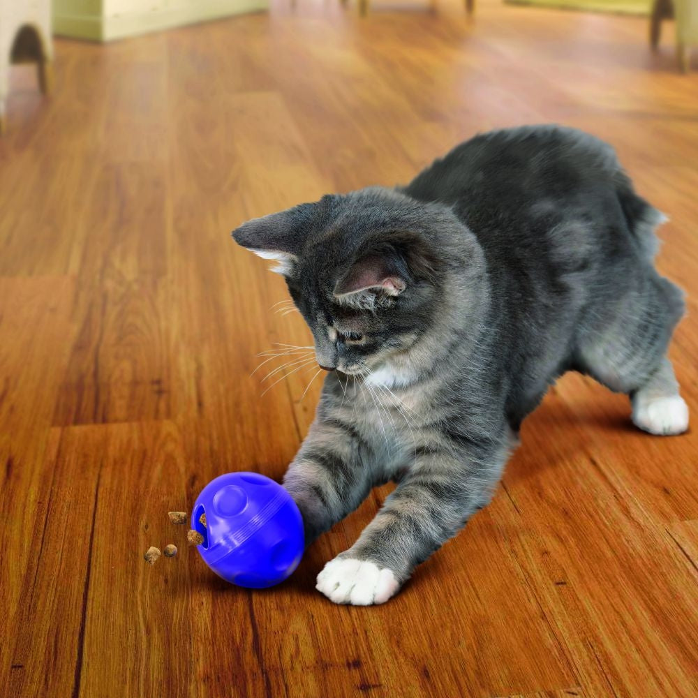 KONG Active Cat Treat Ball Cat Toy - PetMountain.com