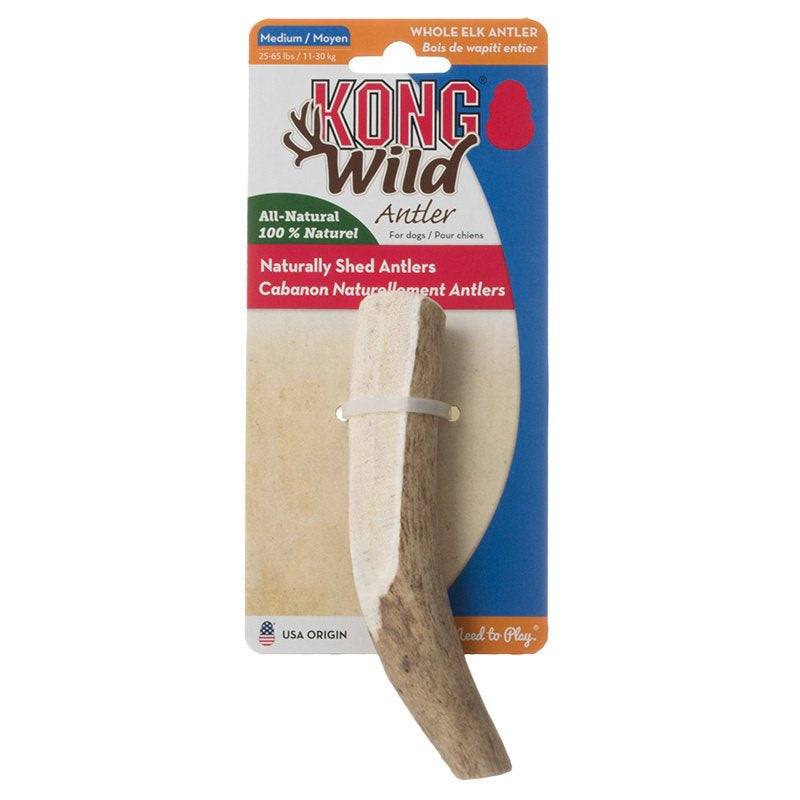 2 count KONG Wild Whole Elk Antler for Dogs Medium