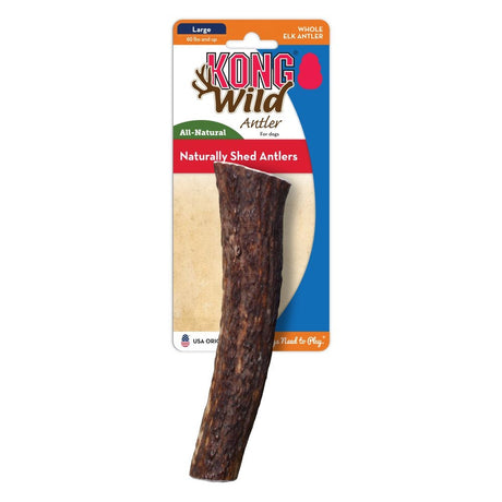 1 count KONG Wild Whole Elk Antler for Dogs Large