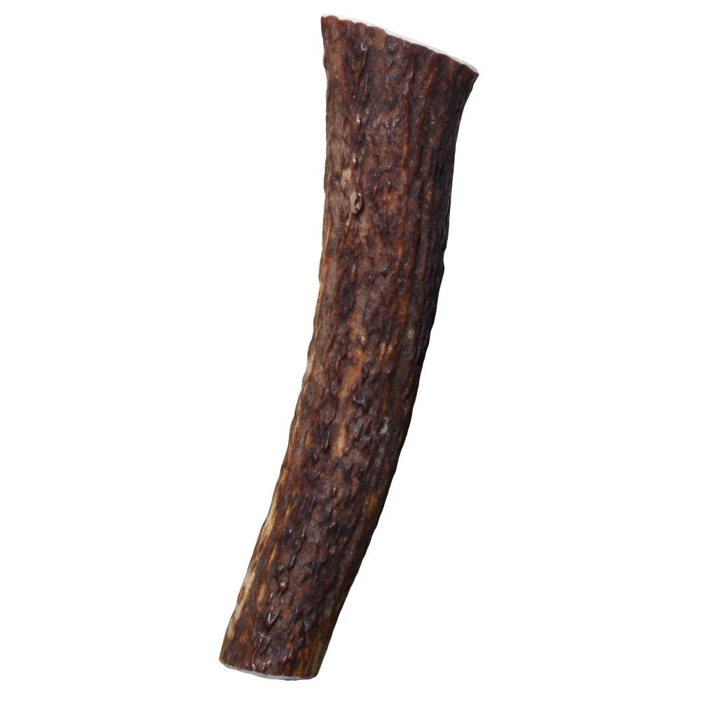 1 count KONG Wild Whole Elk Antler for Dogs Large
