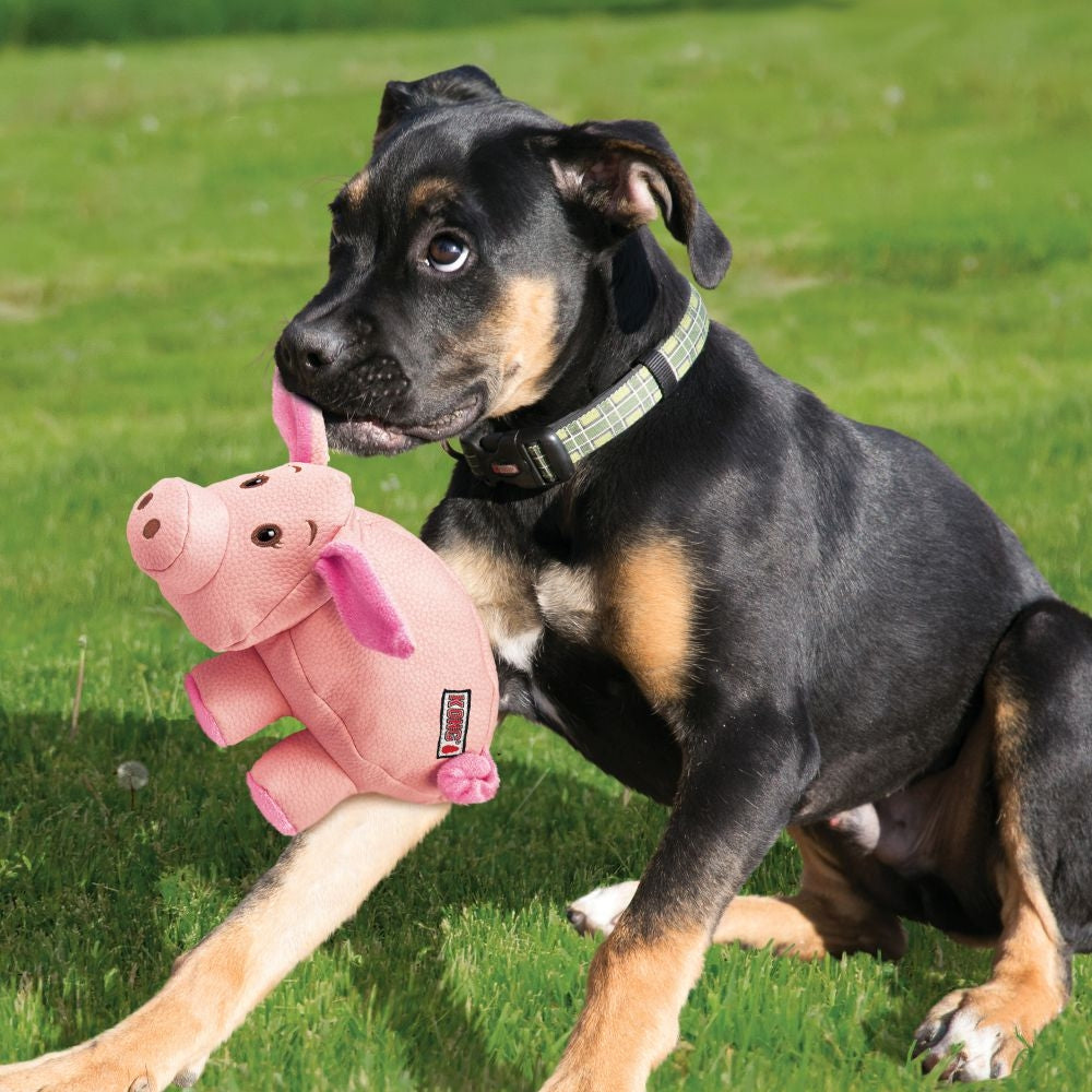 KONG Phatz Pig Dog Toy Extra Small - PetMountain.com