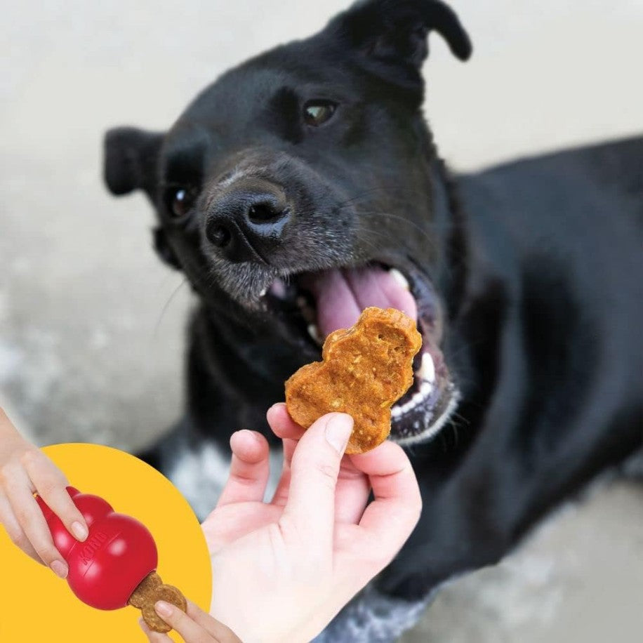 KONG Jerky Chicken Flavor Treats for Dogs Medium / Large - PetMountain.com