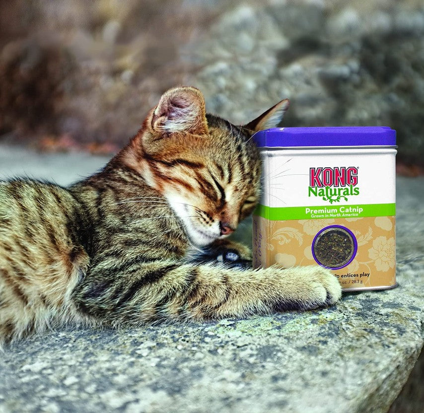 KONG Naturals Premium Catnip Grown in North America - PetMountain.com