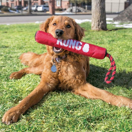 1 count KONG Signature Stick Dog Toy Red Medium