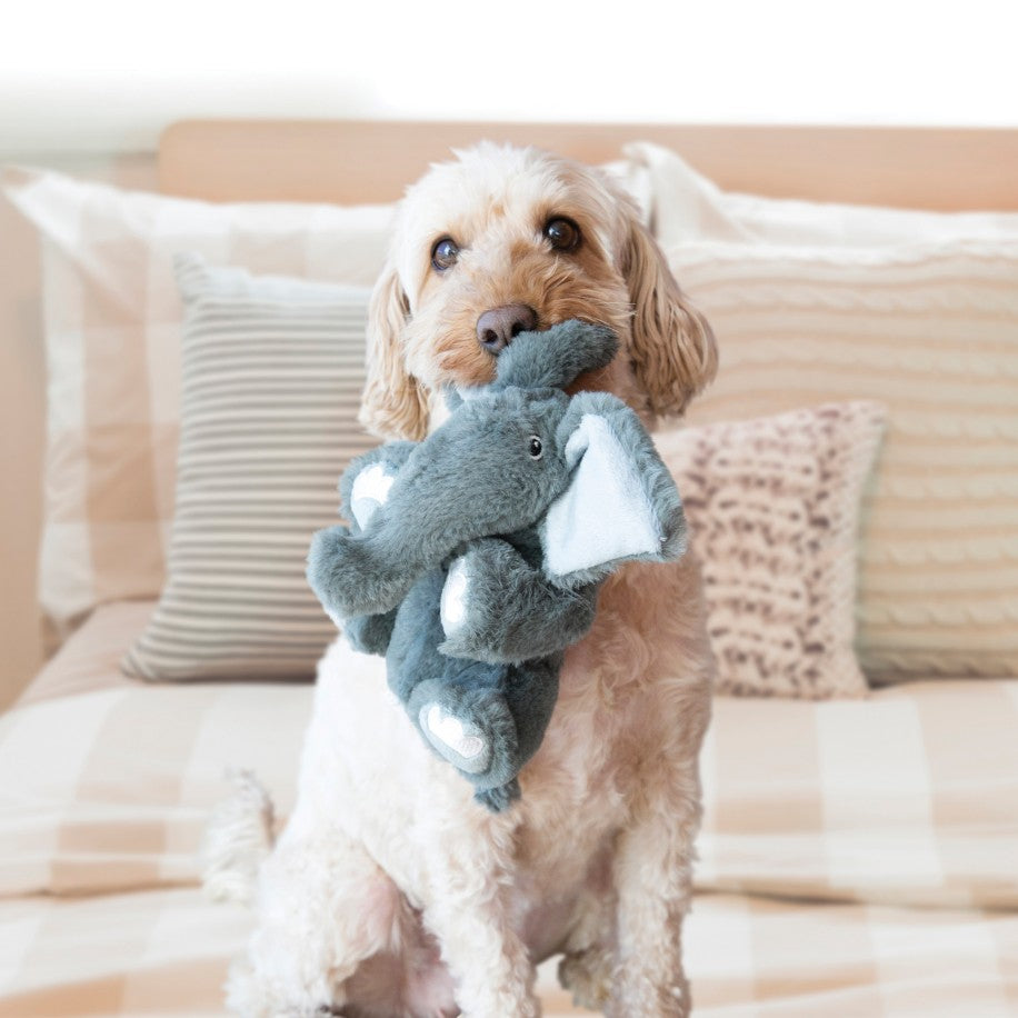 KONG Comfort Kiddos Jumbo Elephant Squeak Dog Toy X-Large - PetMountain.com