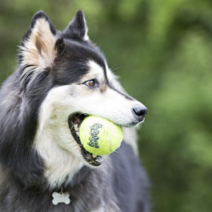 6 count (6 x 1 ct) KONG Air Dog Squeaker Tennis Balls Large Dog Toy