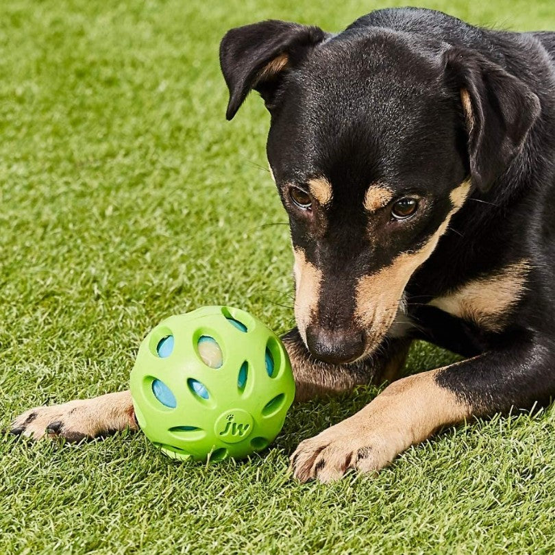 JW Pet Crackle Heads Rubber Ball Dog Toy Medium - PetMountain.com