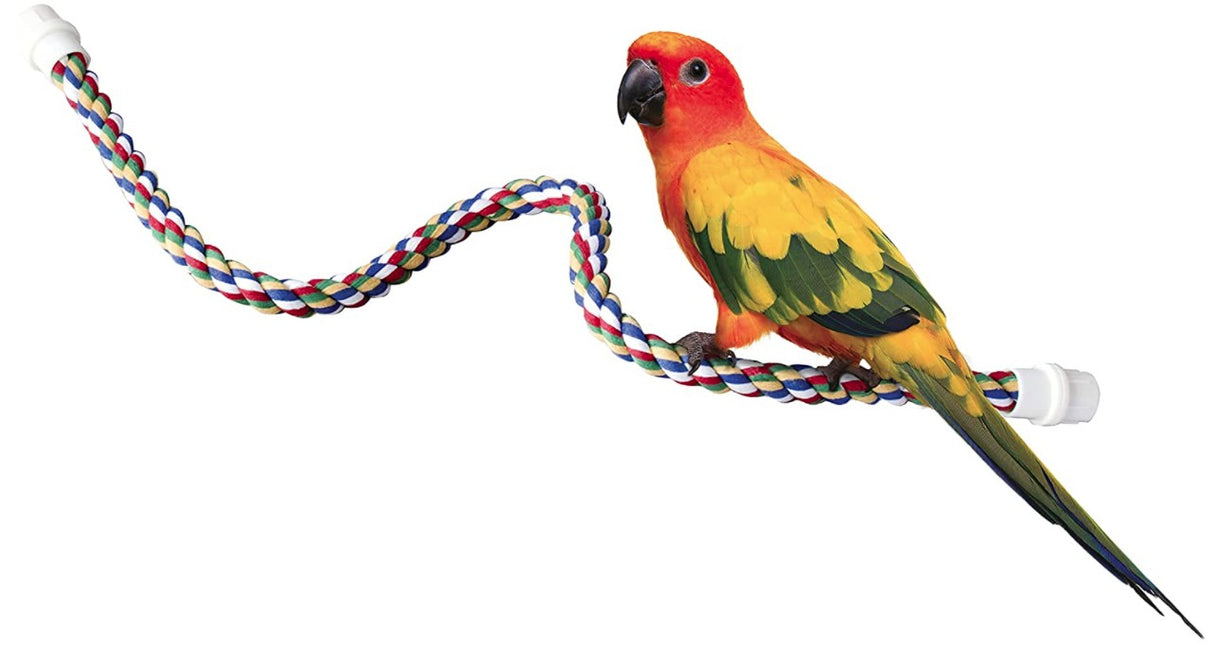Medium - 9 count JW Pet Flexible Multi-Color Comfy Rope Perch 32" Long for Birds