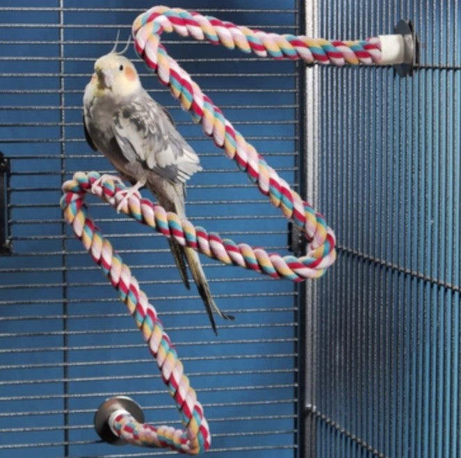 JW Pet Flexible Multi-Color Comfy Rope Perch 36" Long for Birds - PetMountain.com