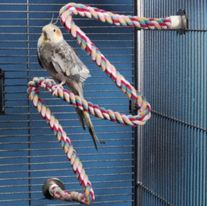 Large - 1 count JW Pet Flexible Multi-Color Comfy Rope Perch 36" Long for Birds