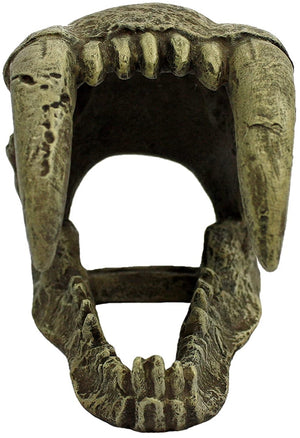 Komodo Saber Tooth Skull Terrarium Decoration - PetMountain.com