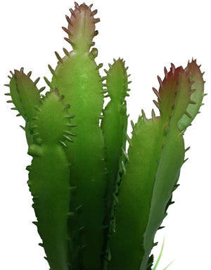 Komodo Succulent and Cactus Habitat Ornament - PetMountain.com