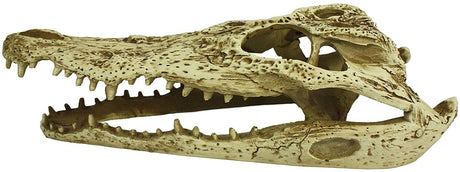 Komodo Alligator Skull Terrarium Decoration