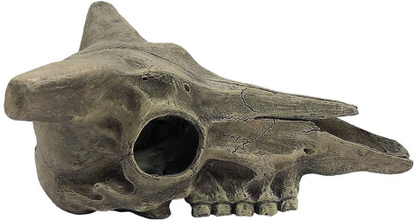 Komodo Deer Skull Terrarium Decoration - PetMountain.com