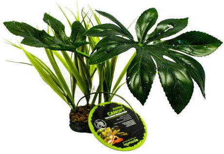 Komodo Jungle Canopy Terrarium Plant - PetMountain.com