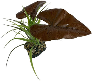 Komodo Rainforest Canopy Terrarium Plant - PetMountain.com