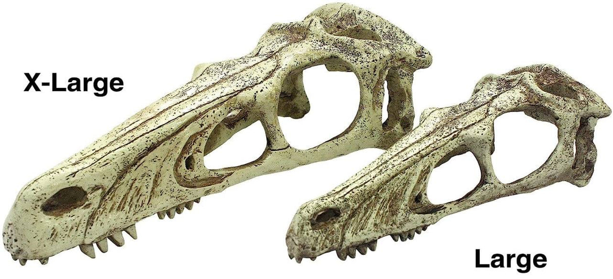 Komodo Raptor Skull Terrarium Decoration - PetMountain.com