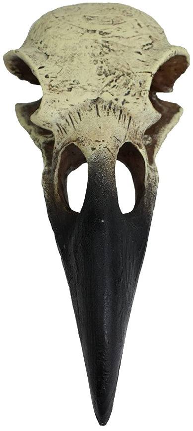 Komodo Raven Skull Terrarium Decoration - PetMountain.com