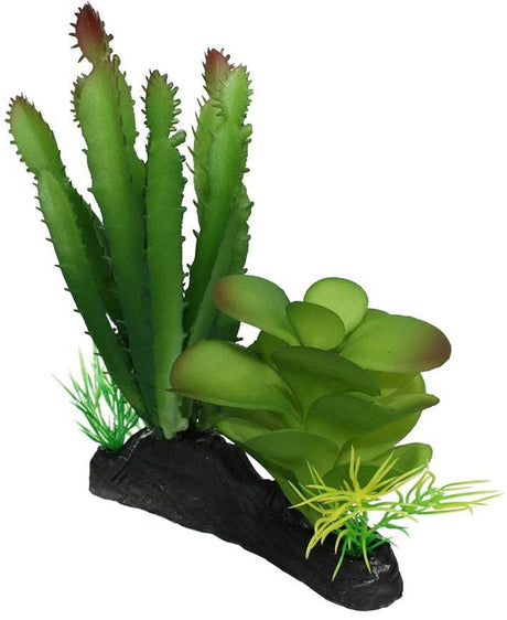 Komodo Succulent and Cactus Habitat Ornament