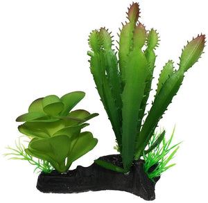 Komodo Succulent and Cactus Habitat Ornament - PetMountain.com