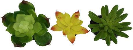 Komodo Succulent Plant Habitat Ornaments - PetMountain.com