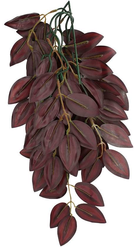 Komodo Zebrina Hanging Vine Terrarium Plant - PetMountain.com