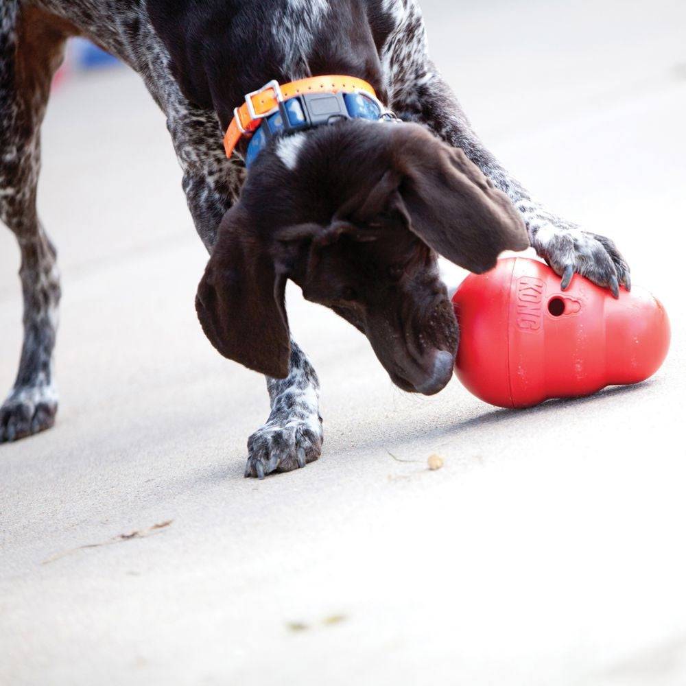 KONG Wobbler Interactive Dog Toy Dispenses Food and Treats - PetMountain.com