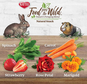 1 oz Kaytee Food From The Wild Treat Medley Rabbit / Guinea Pig