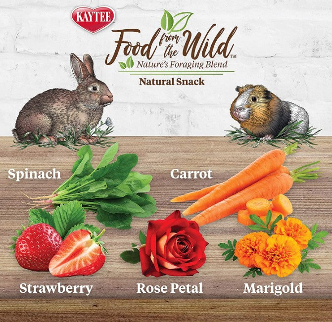 6 oz (6 x 1 oz) Kaytee Food From The Wild Treat Medley Rabbit / Guinea Pig