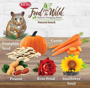 12 oz (6 x 2 oz) Kaytee Food From The Wild Treat Medley Hamster / Gerbil
