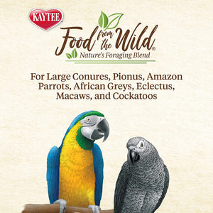 3 oz Kaytee Food From the Wild Natural Snack for Large Birds