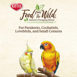 12 oz (4 x 3 oz) Kaytee Food From the Wild Natural Snack for Small Birds