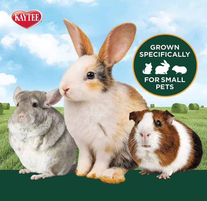 144 oz (6 x 24 oz) Kaytee All Natural Alfalfa Hay for Rabbits, Guinea Pigs and Small Animals