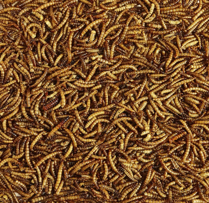 64 oz (2 x 32 oz) Kaytee Mealworms Wild Bird Food